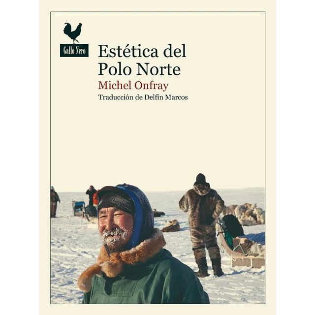 Estetica del polo norte