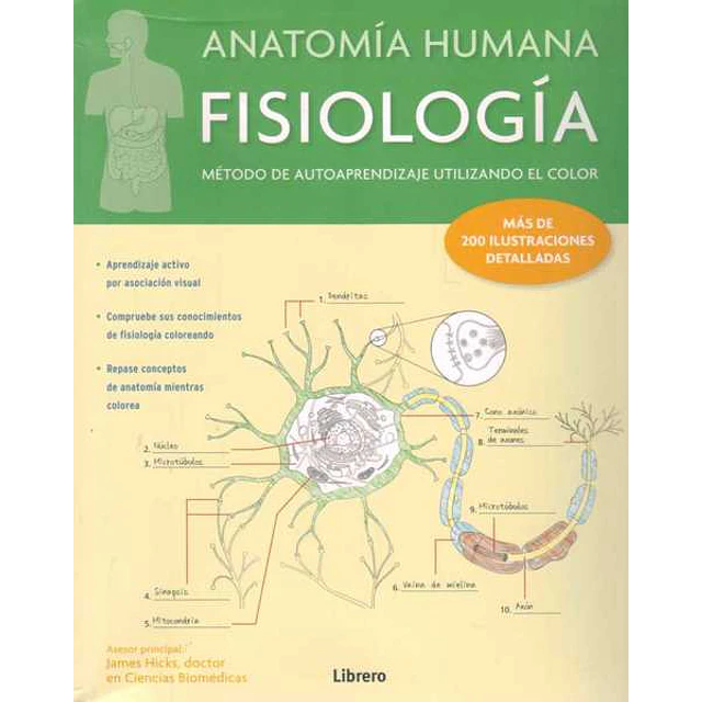 Anatomia humana fisiologia