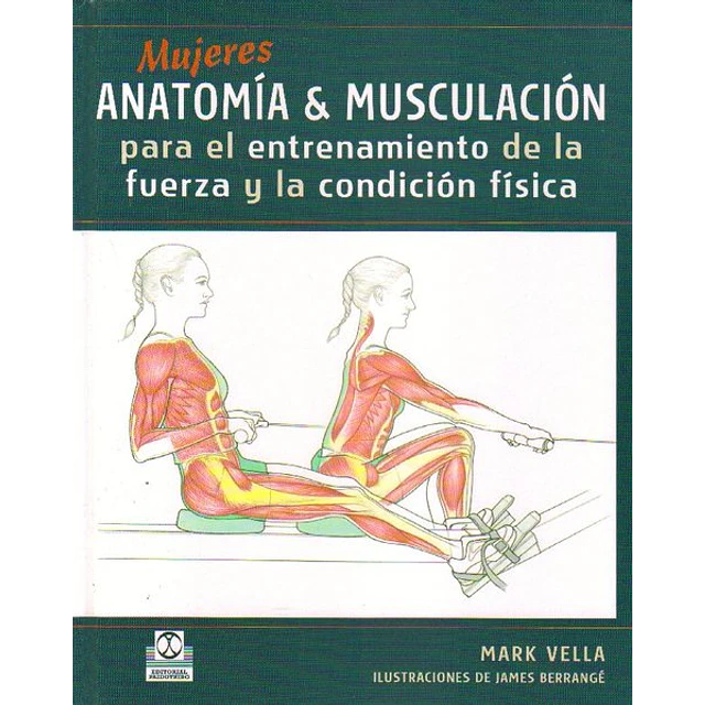 Mujeres anatomia & musculacion
