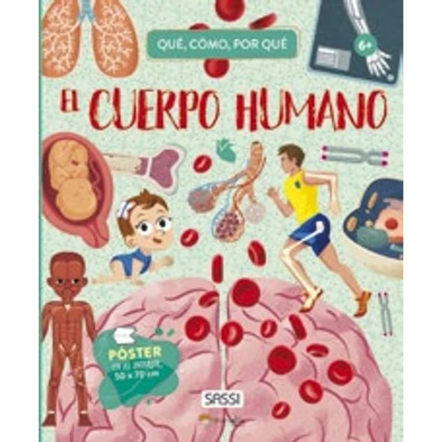 El cuerpo humano. Que como por que