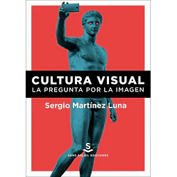 Cultura visual