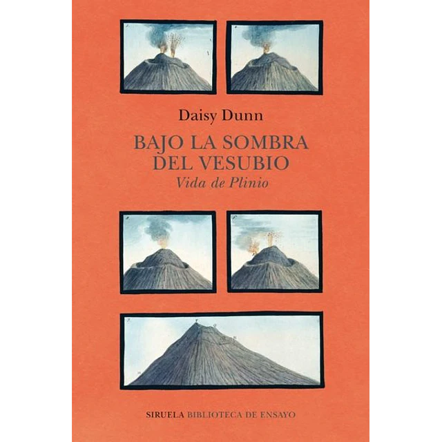 Bajo la sombra del vesubio