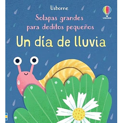 Un dia de lluvia