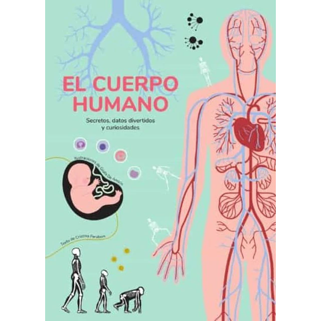 El cuerpo humano