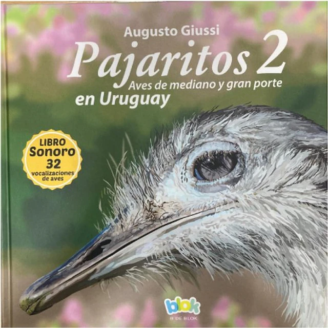 Pajaritos 2. Aves de mediano y gran porte en uruguay