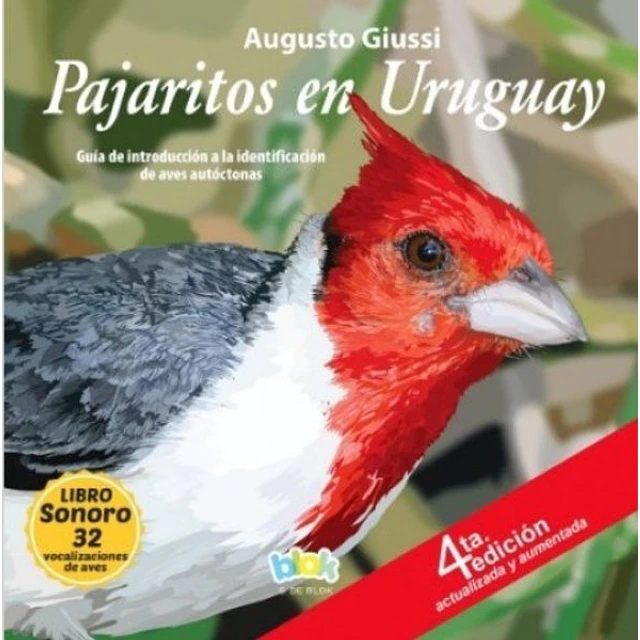 Pajaritos en uruguay