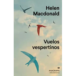 Vuelos vespertinos