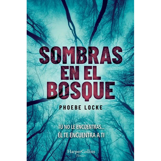 Sombras en el bosque