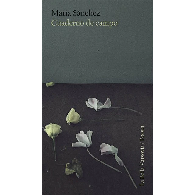 Cuaderno de campo