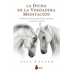 La dicha de la verdadera meditacion