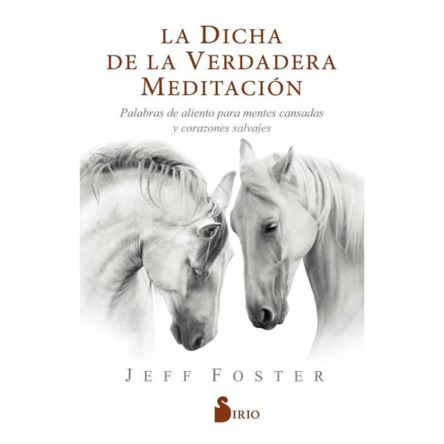 La dicha de la verdadera meditacion