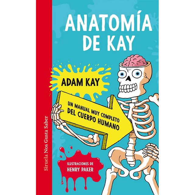 Anatomia de kay