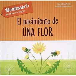 El nacimiento de una flor