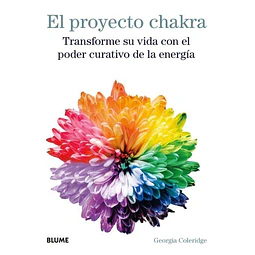 El proyecto chakra