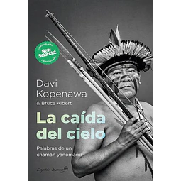 La caida del cielo