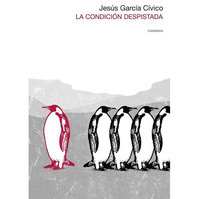 La condicion despistada
