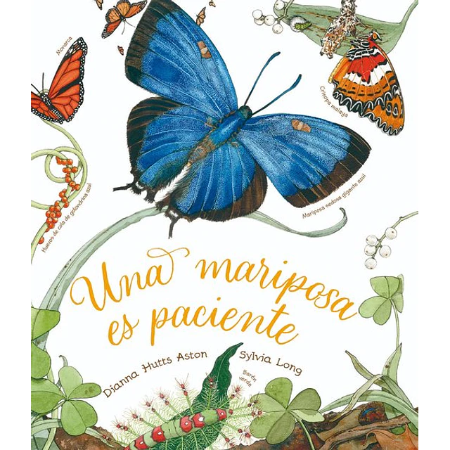 Una mariposa es paciente
