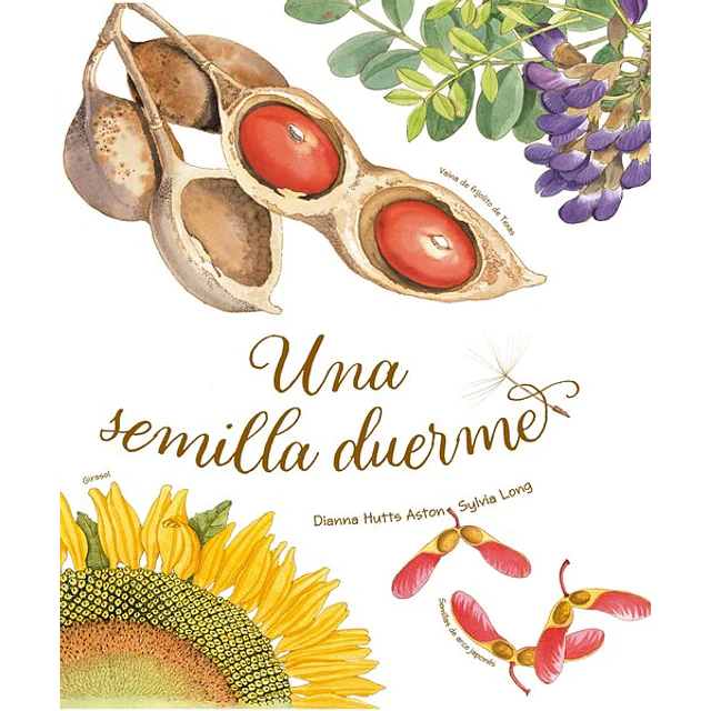 Una semilla duerme
