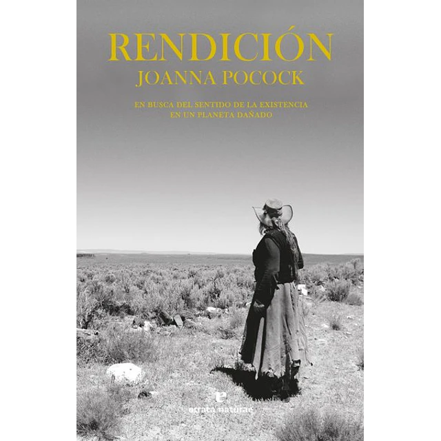 Rendicion