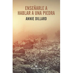 Enseñarle a hablar a una piedra