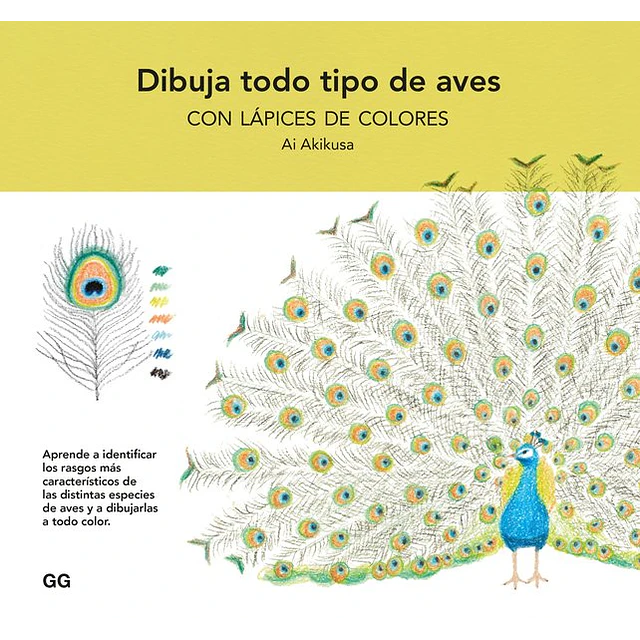 Dibuja todo tipo de aves con lapices de colores