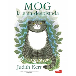 Mog, la gata despistada