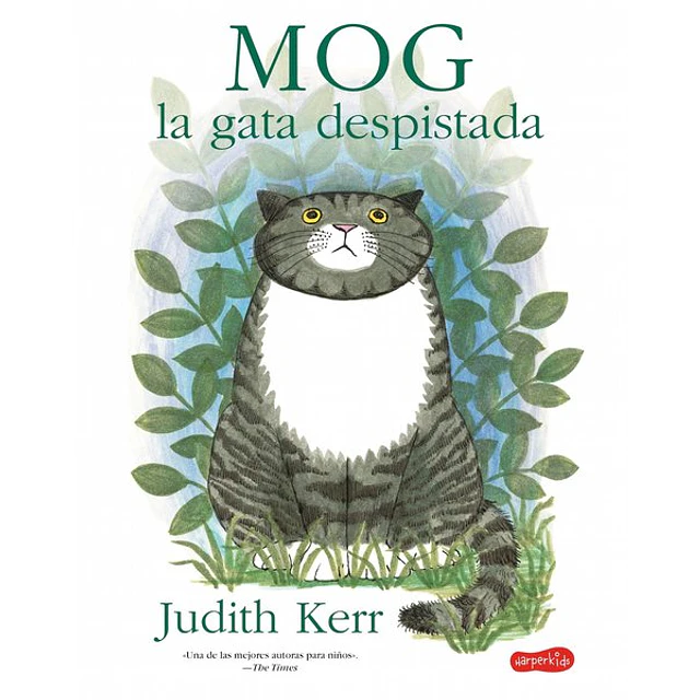 Mog, la gata despistada