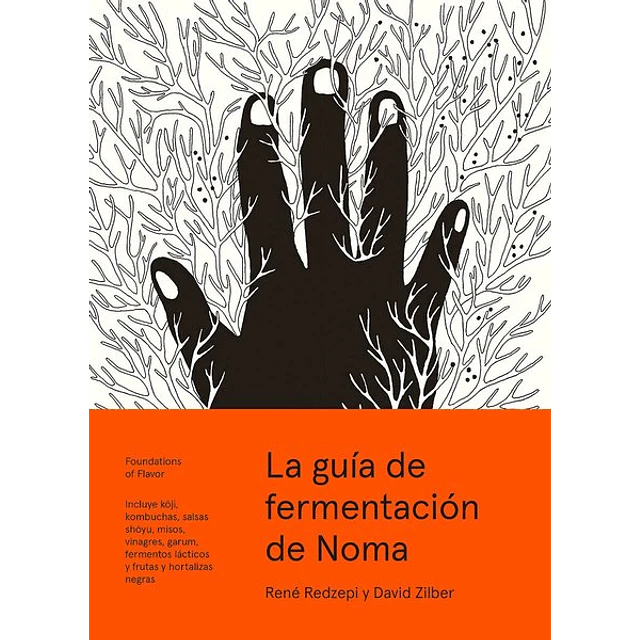 La guia de fermentacion de noma