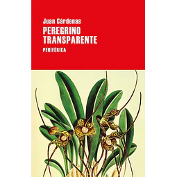 Peregrino transparente