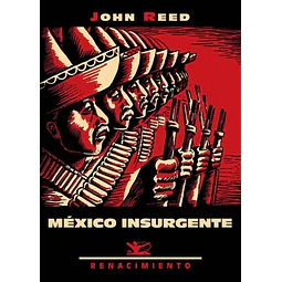 Mexico insurgente