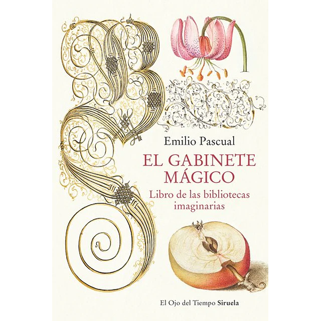 El gabinete magico