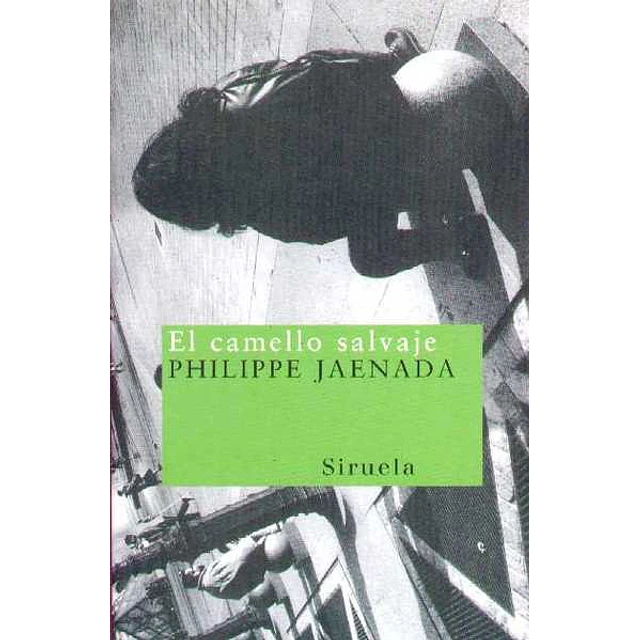 El camello salvaje