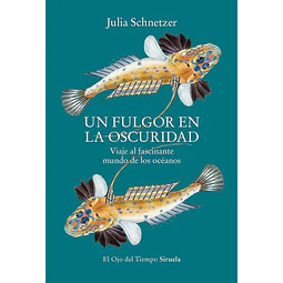 Un fulgor en la oscuridad