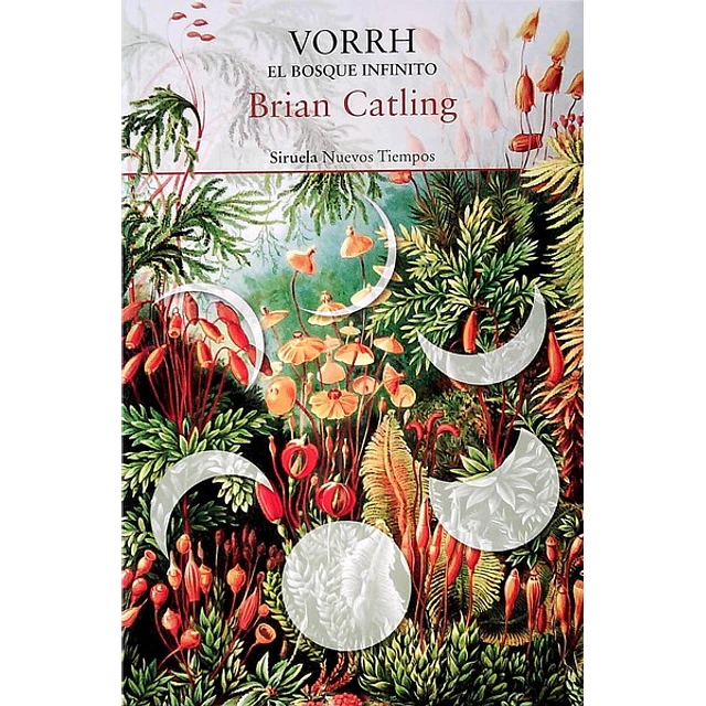 Vorrh. El bosque infinito