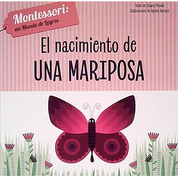 El nacimiento de una mariposa