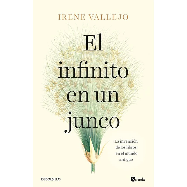 El infinito en un junco