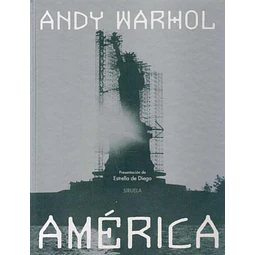 America. Andy warhol