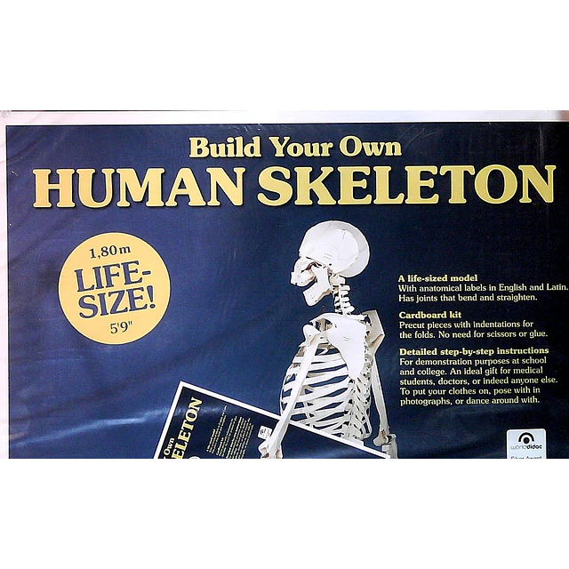 Build your own human skeleton