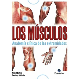 Los musculos