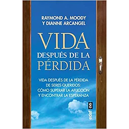 Vida despues de la perdida