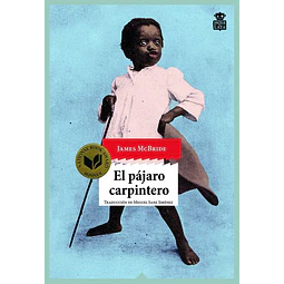 El pajaro carpintero