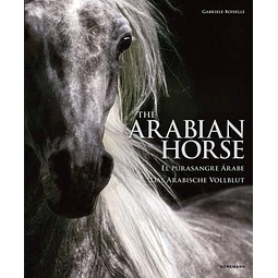 The arabian horse