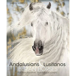 Andalusians & lusitanos. Iberian horses. Caballos ibericos