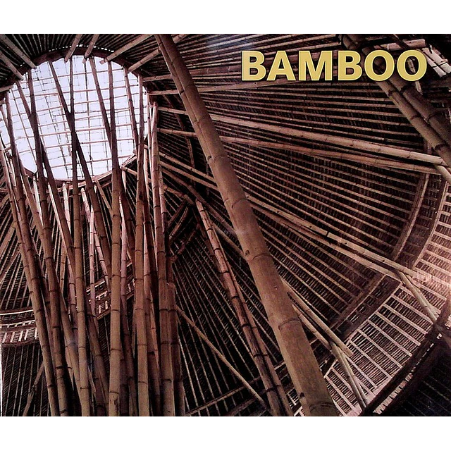 Bamboo