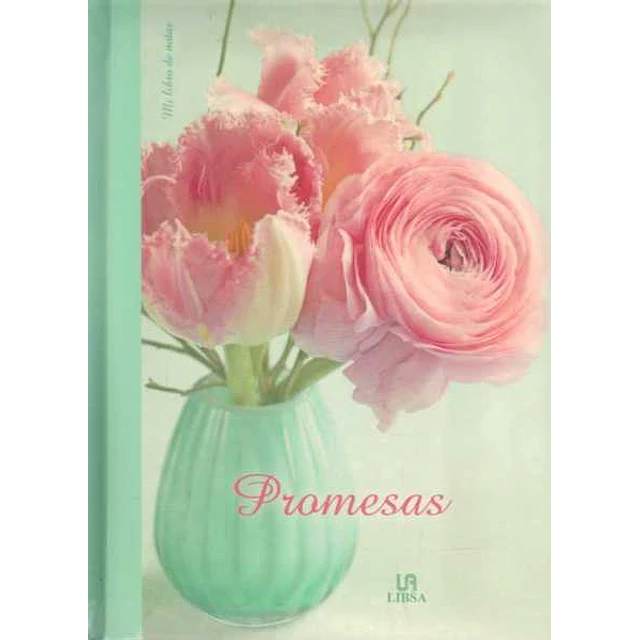 Promesas. Mi libro de notas