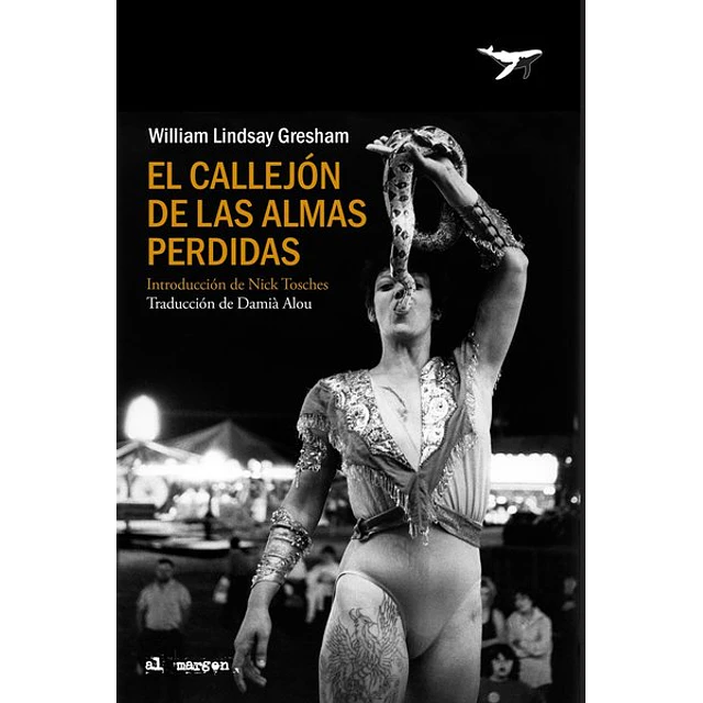 El callejon de las almas perdidas
