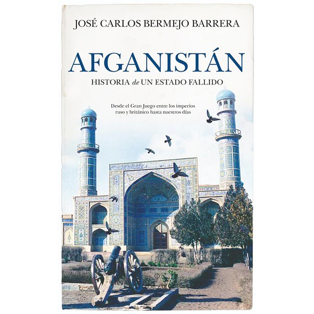 Afganistan. Historia de un estado fallido