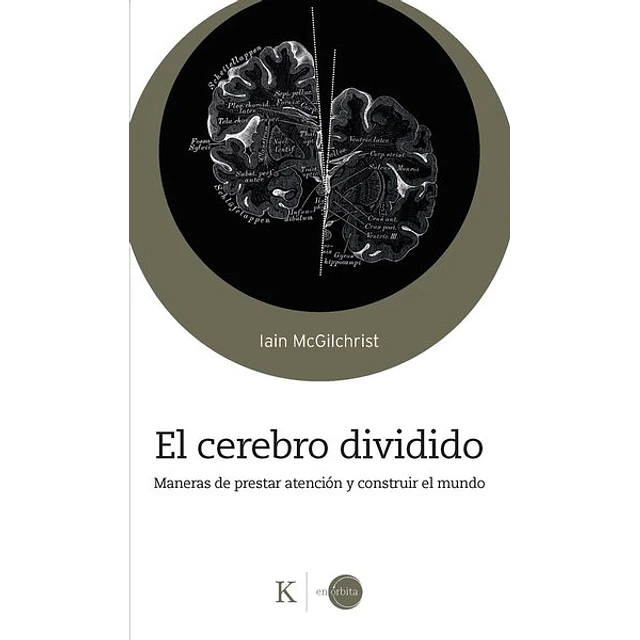 El cerebro dividido