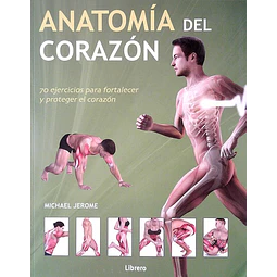 Anatomia del corazon