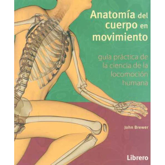 Anatomia del cuerpo en movimiento